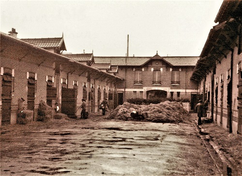 Horse's stable of  André Adele: Great Court in February 1978