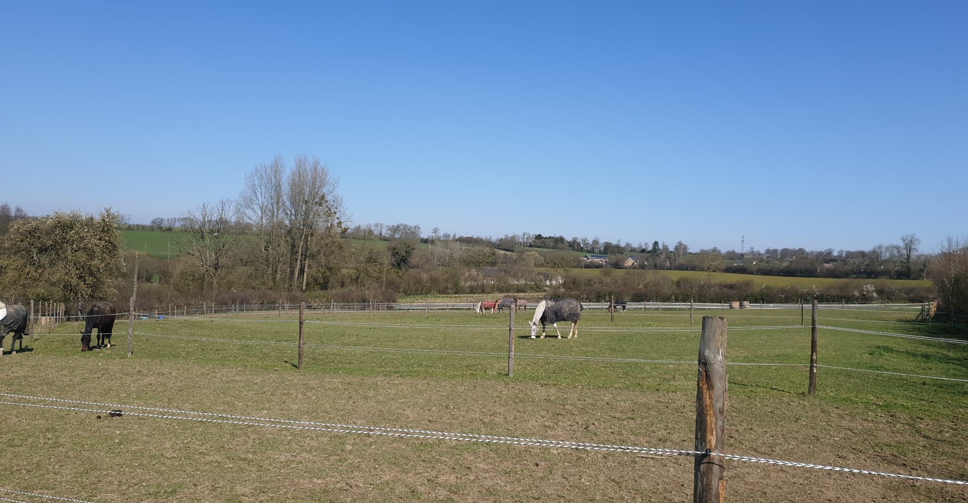 Paddocks entrée est