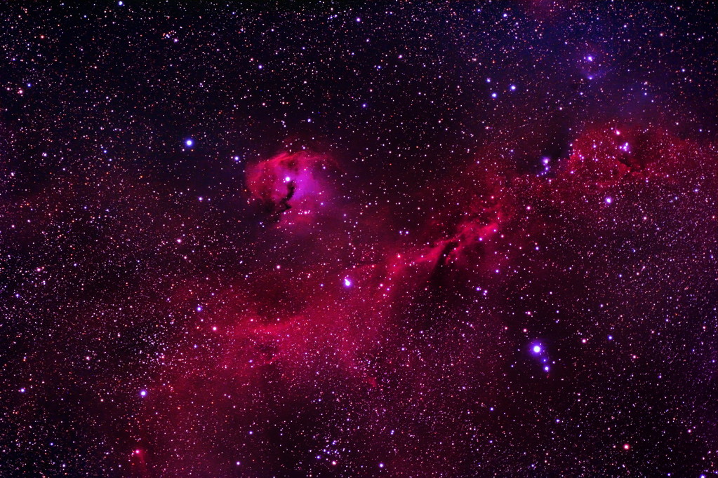 IC2177 Seagull