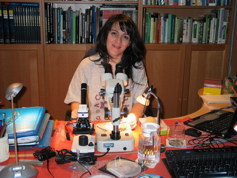 Microscopia recreativa