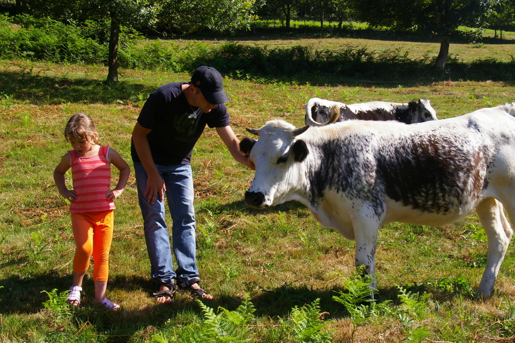 autour de la ferme et du gîte