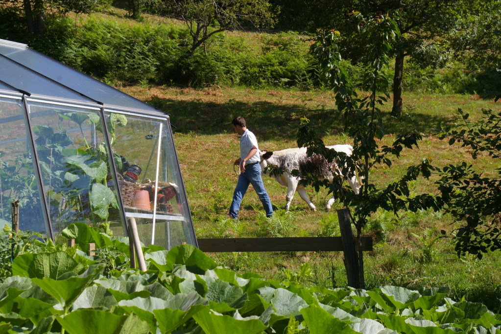 Autour de la ferme