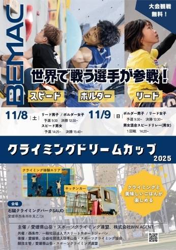 ドリームカップ