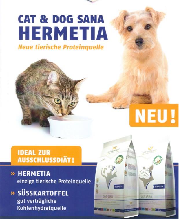Allergien DieTierarztpraxis
