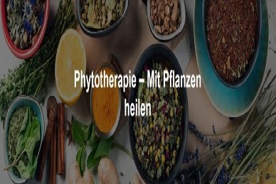Phytotherapie-Heilen mit Pflanzen