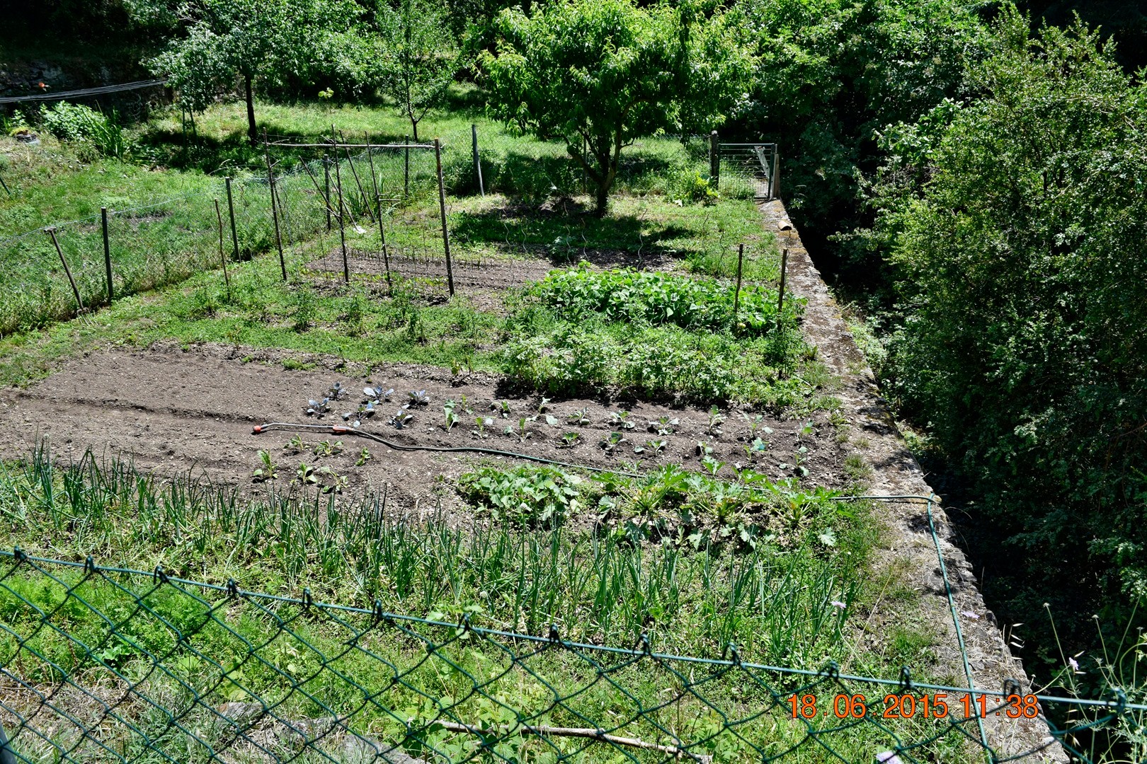 Garten ( viel Arbeit )