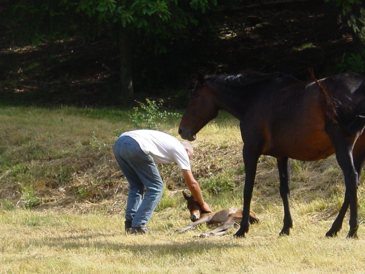 und der Kleine ??