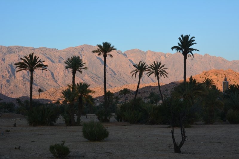 Abendstimmung in Tafraoute