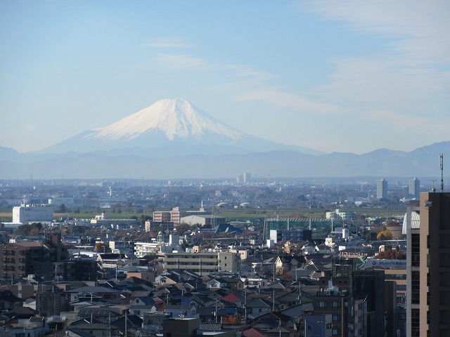 富士山が綺麗に見えました