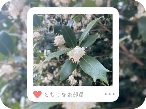冬の出会い