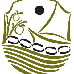 Municipalidad de San Pedro