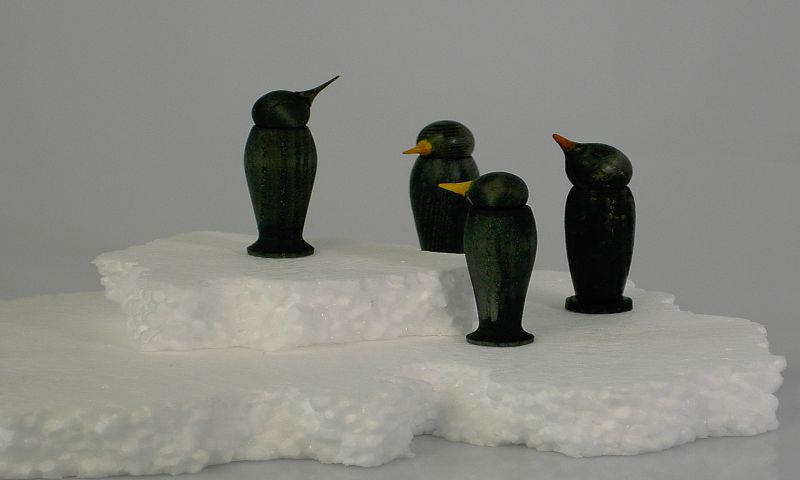 Vögel 8