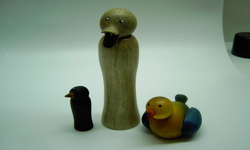 Vögel 9