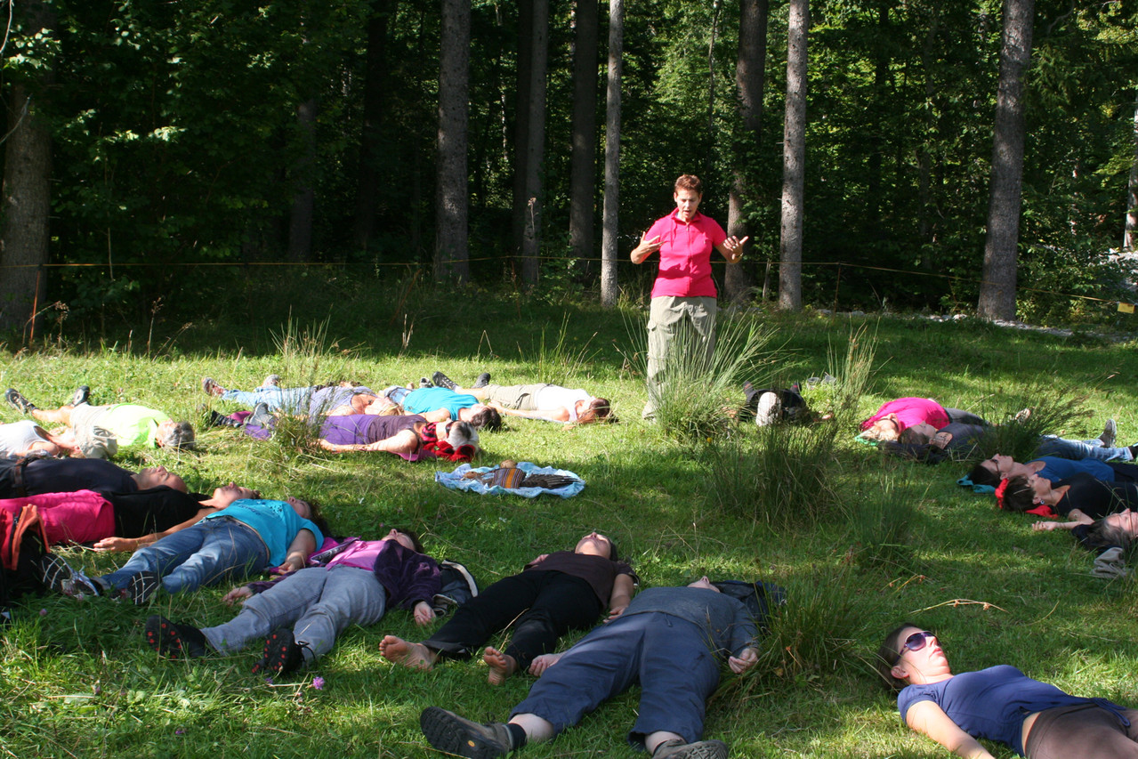 Tanztherapie, Yoga, Meditation, Malen, Ausbildung