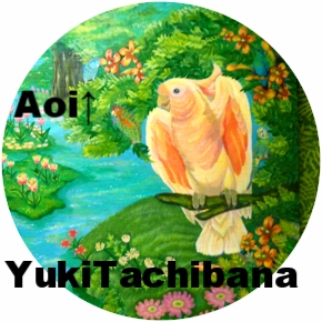 楽園の鳥達 立花雪 YukiTachibana