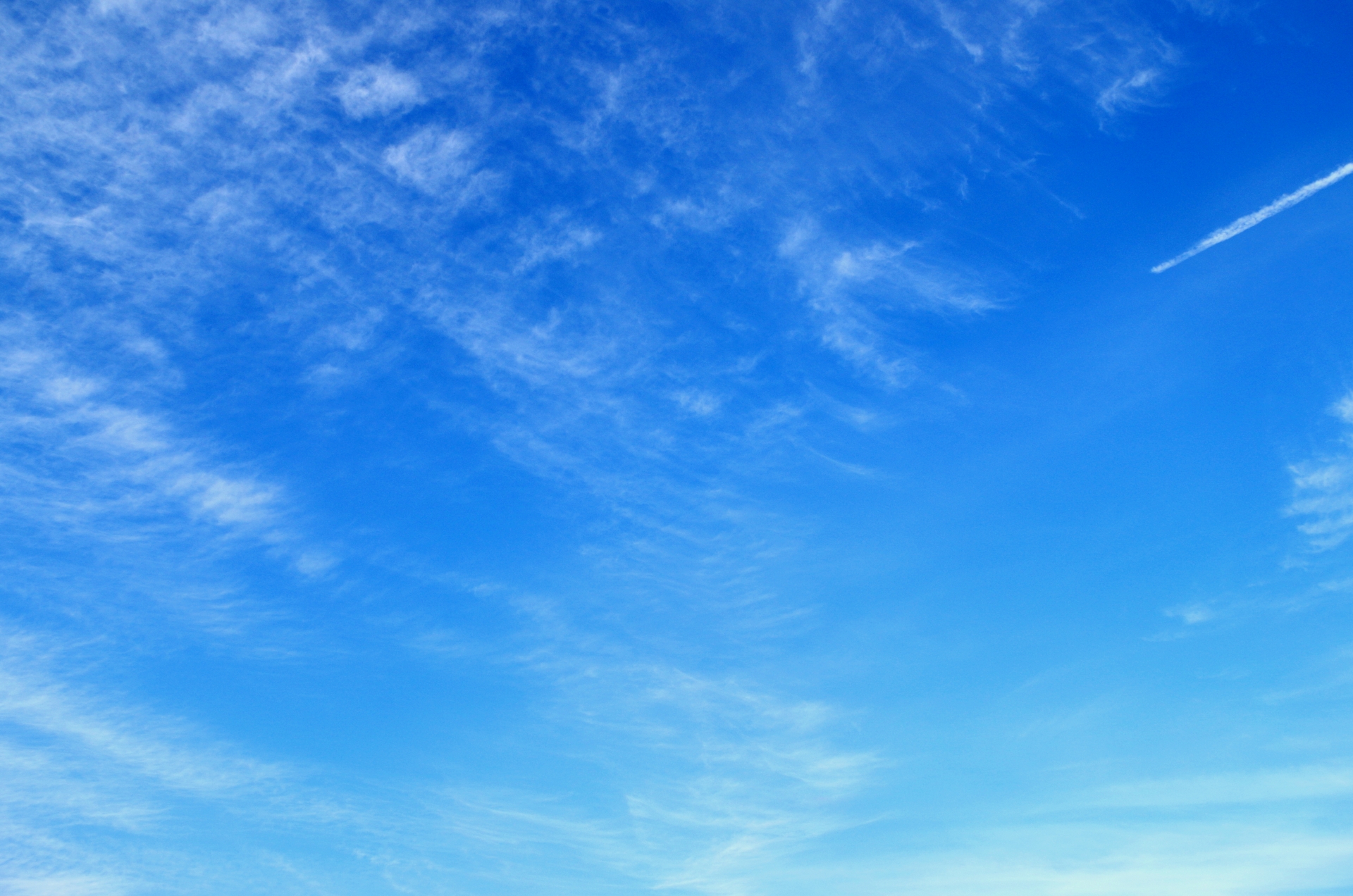 ブロンテになりたかったモンゴメリ Nobvkoのoctober Sky