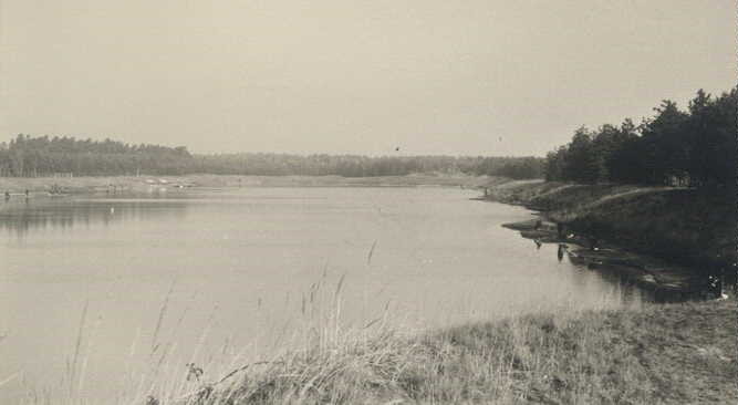 Gifhorner Waldsee