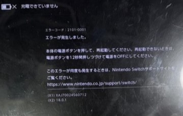 Nintendo Switch Lite エラー画面 通電確認返品不可 ジャンク