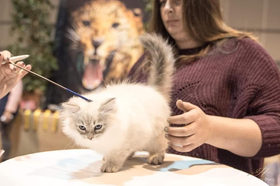 Obskur Nominé Best In SHow a 3 mois