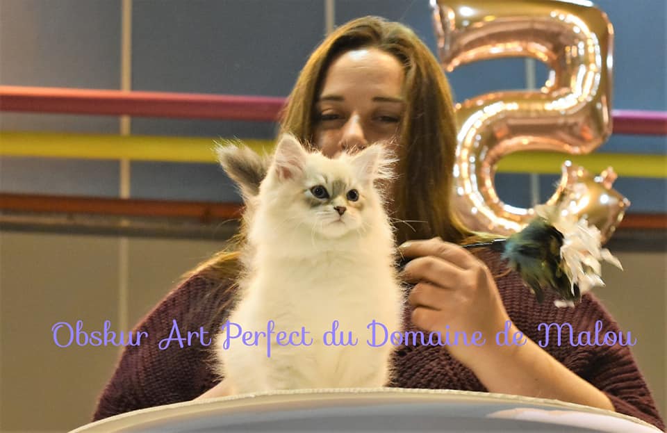 1ere exposition de Obskur a 3 mois