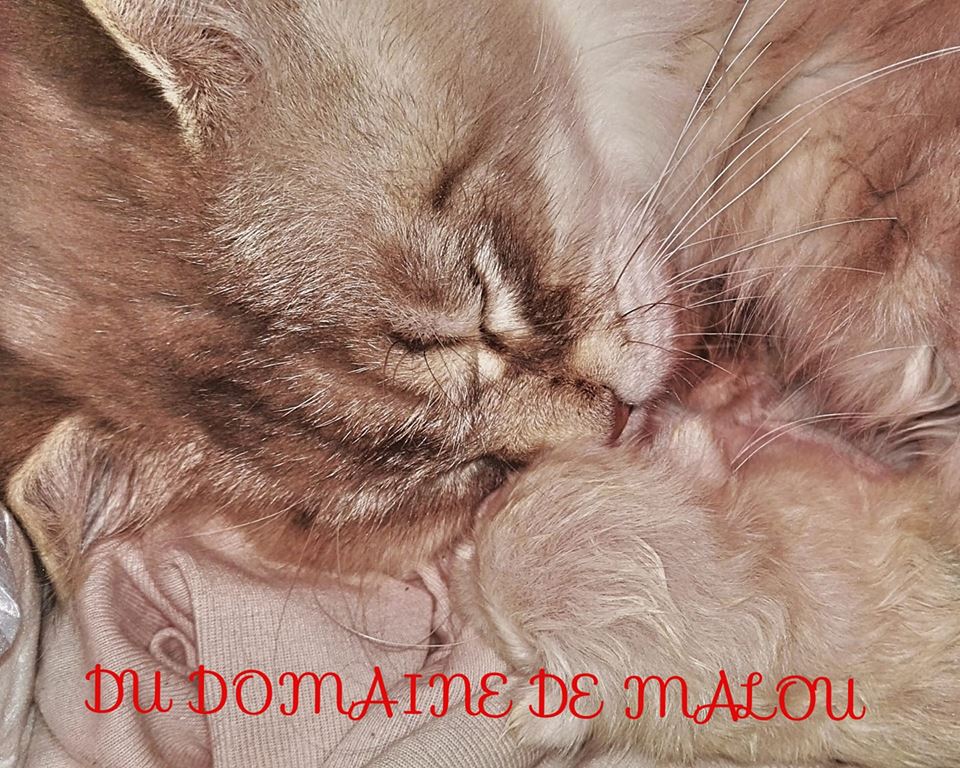 Obskur le jour de sa naissance