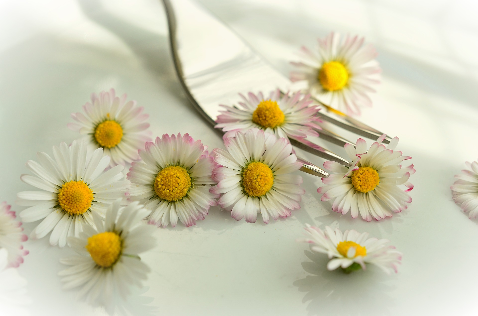 Welke bloemen kun je het beste niet eten? - Eetbare bloemen overzicht