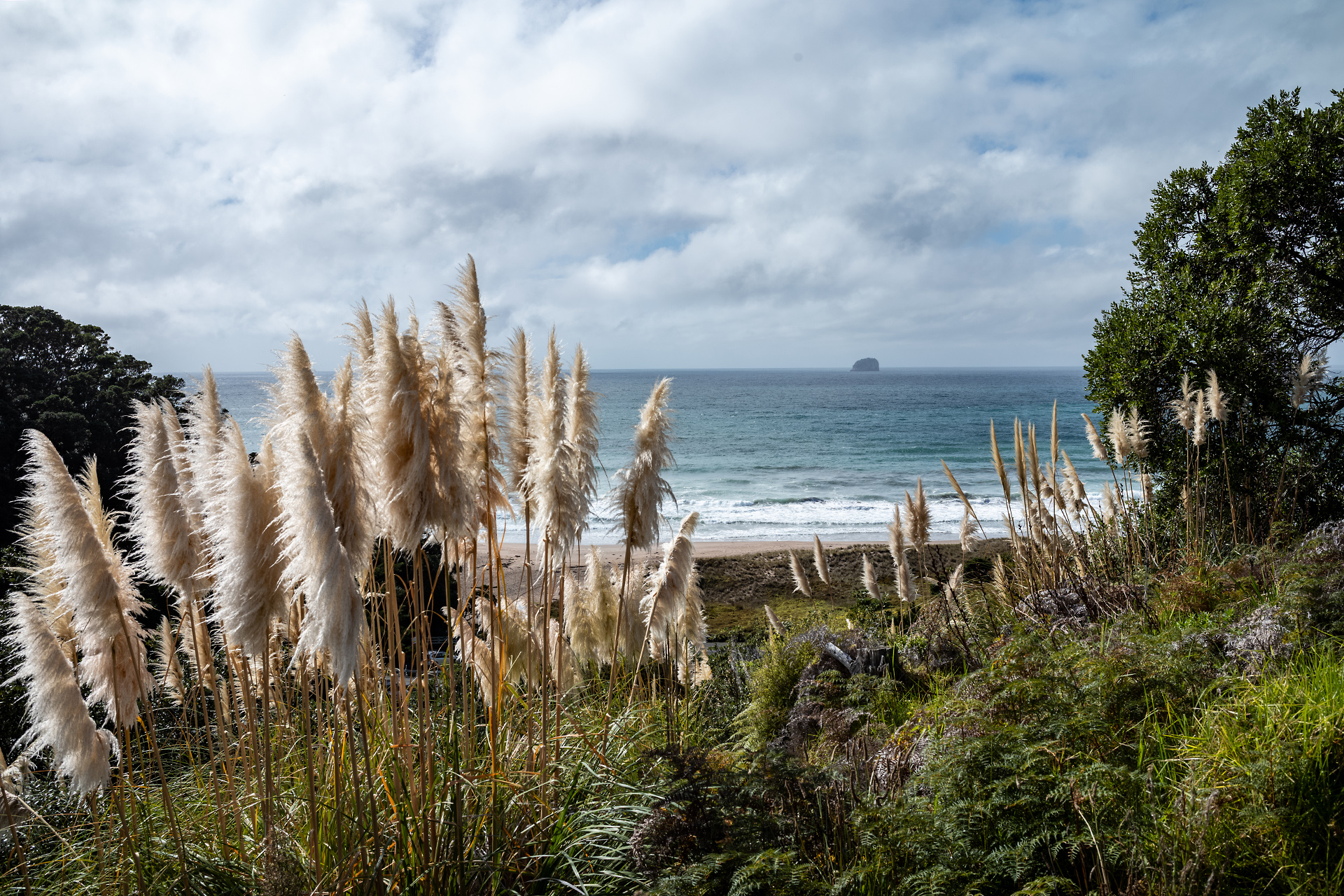 Hot Water Beach