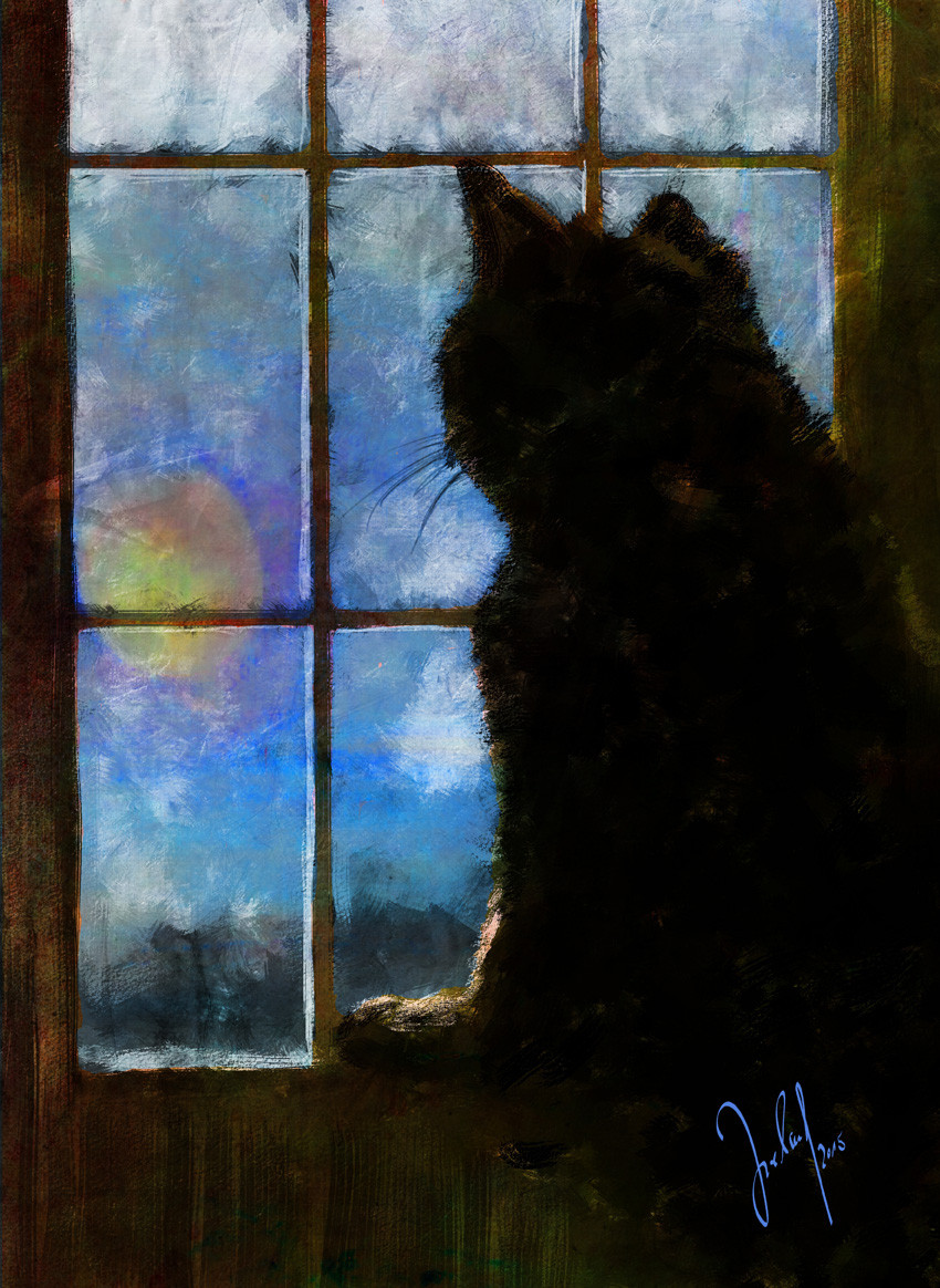 all cats are grey by night