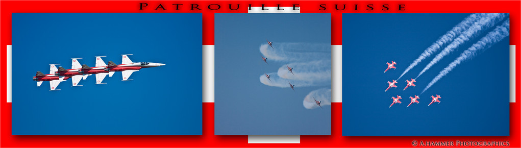 Patrouille Suisse (Flugshow und Geburtstag Schmerlat )