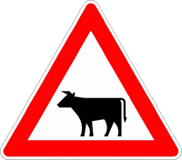 Viehtrieb, Tiere Führerschein sicher bestehen. Hilfe und