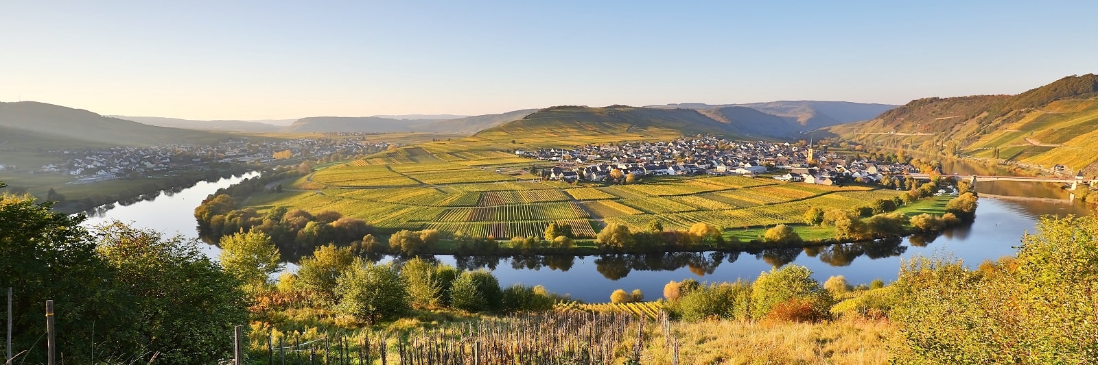 RheinlandPfalz Urlaub Reisen mit dem Hund Haustiermitnahme