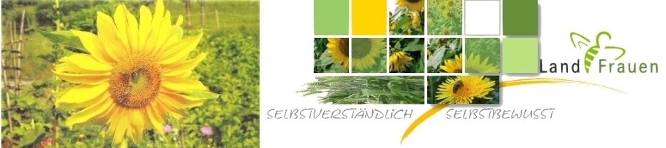 landfrauen-heiligkreuzsteinachs Webseite!