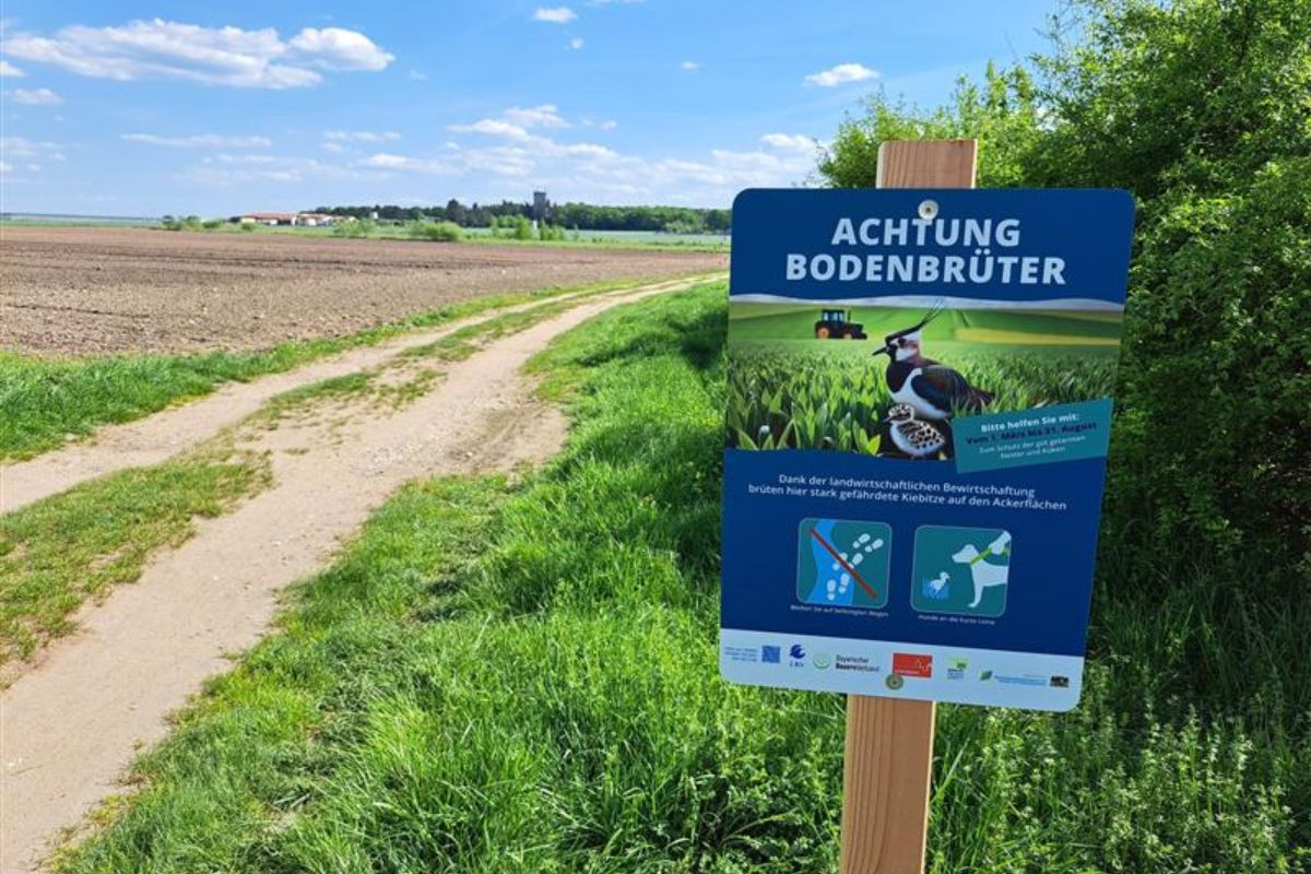Hinweisschild "Achtung Bodenbrüter" (Foto: Lisa Schenk)