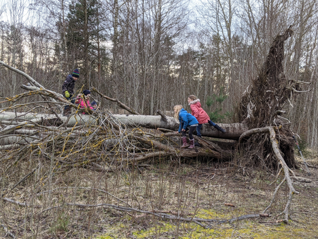 Foto: LBV Kindergruppe Erlangen