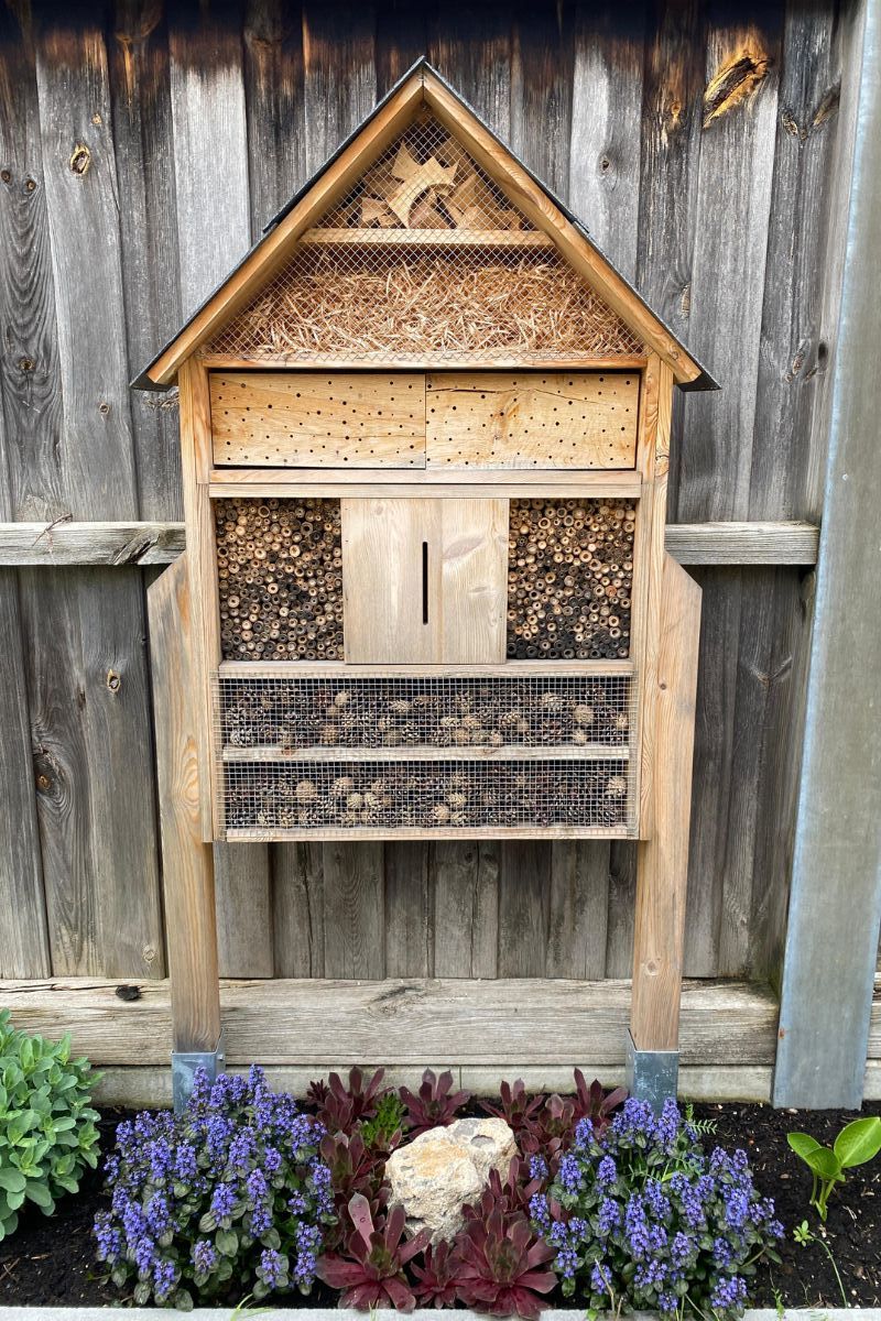 Eindrücke aus der Gartenkolonie Sandreuth (Foto: Katharina Hubmann)
