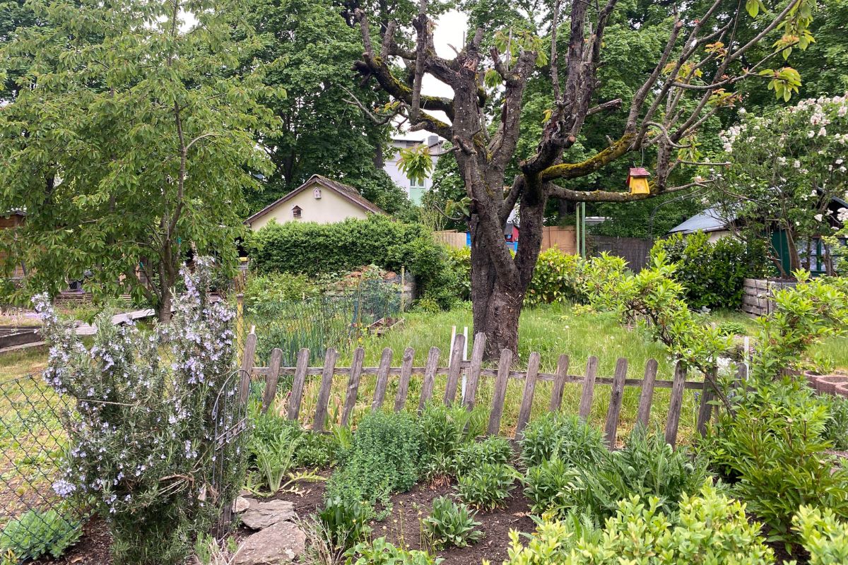 Eindrücke aus der Gartenkolonie Sandreuth (Foto: Katharina Hubmann)