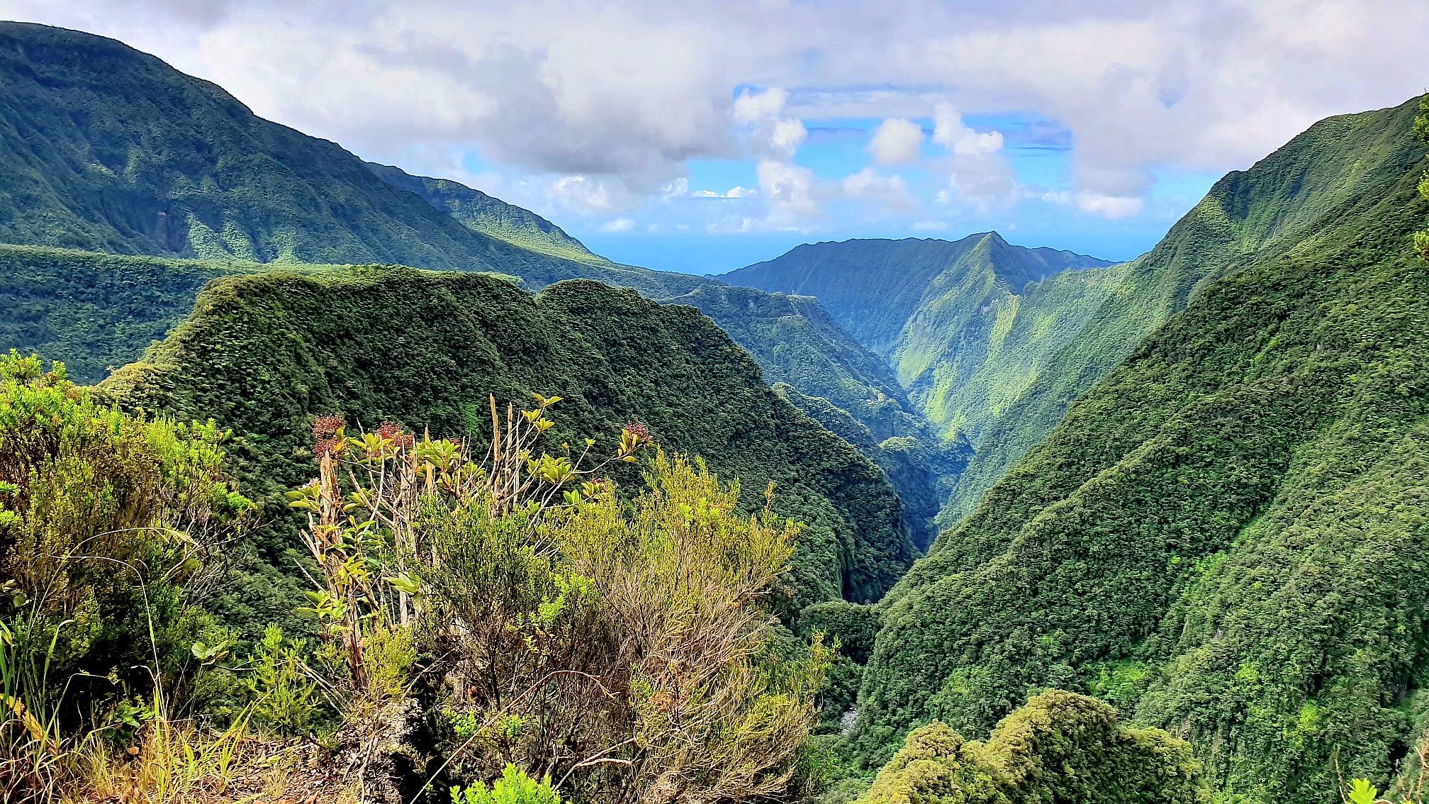 Frankreich La Reunion perfectdayss Webseite!