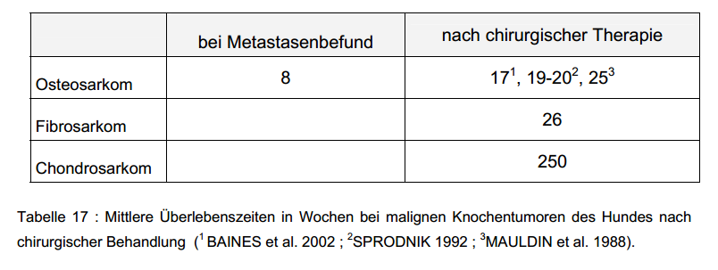 Zum Osteosarkom Eine vergleichende Literaturstudie Osteosarkom Hund