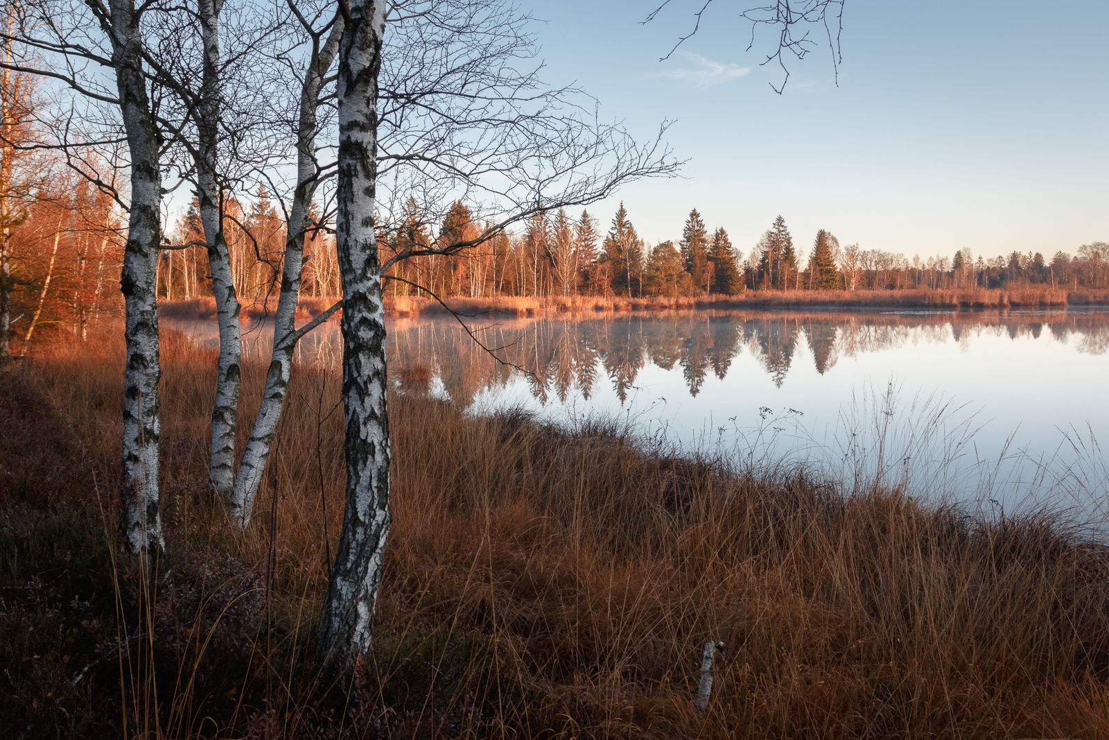 Blog Wurzacher Ried Simons Fotogallerie