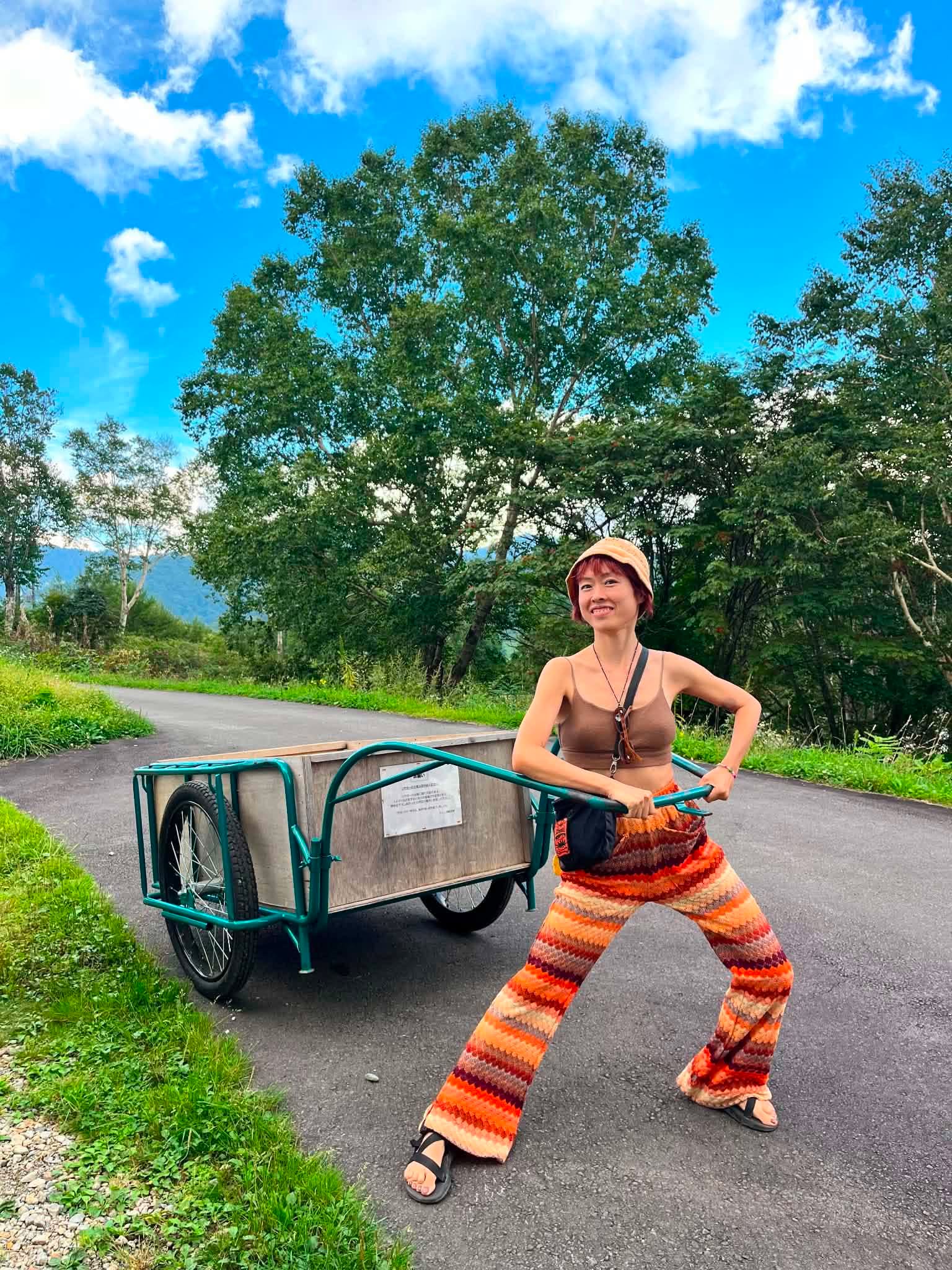 The hand carts available for use are shown below.
