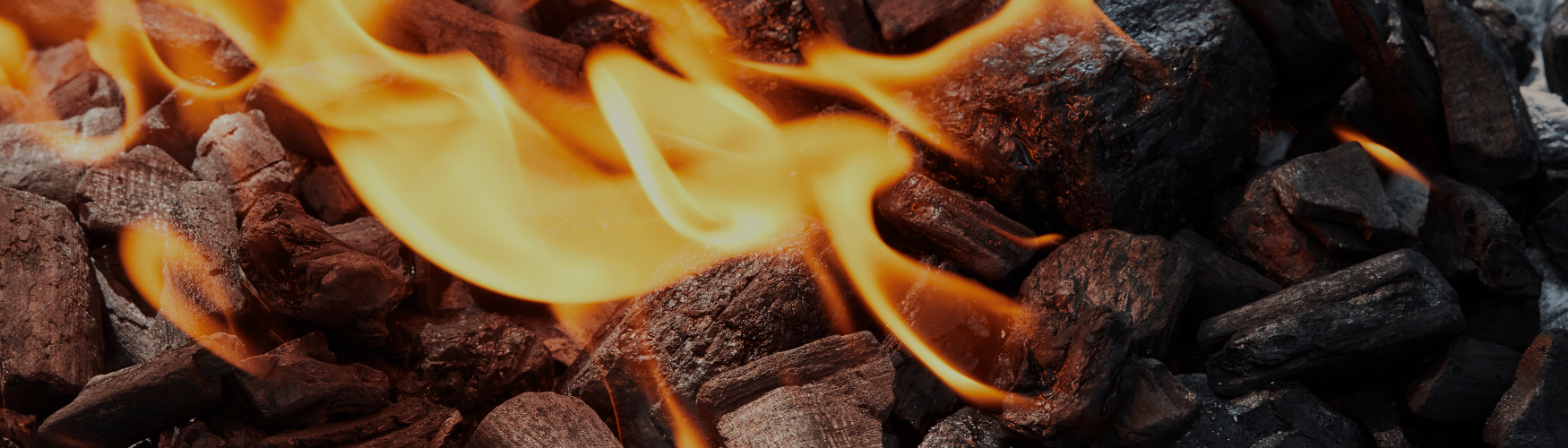 Titelbild Holzkohle/Grillkohle