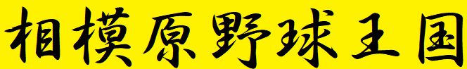 相模原市軟式野球専門部