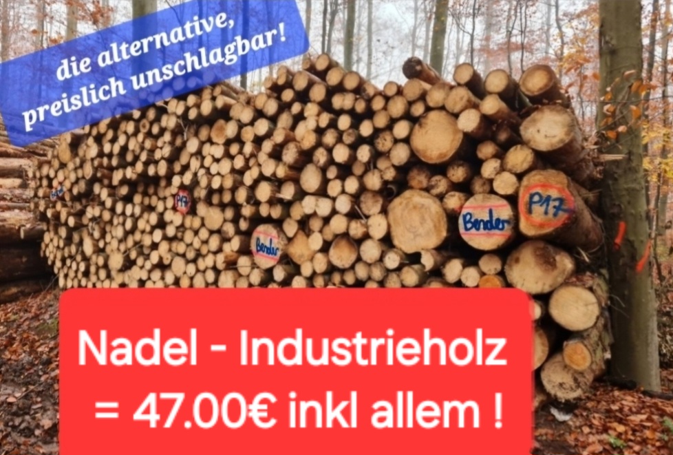 BRENNHOLZ Aktion 1) Brennholz Bender