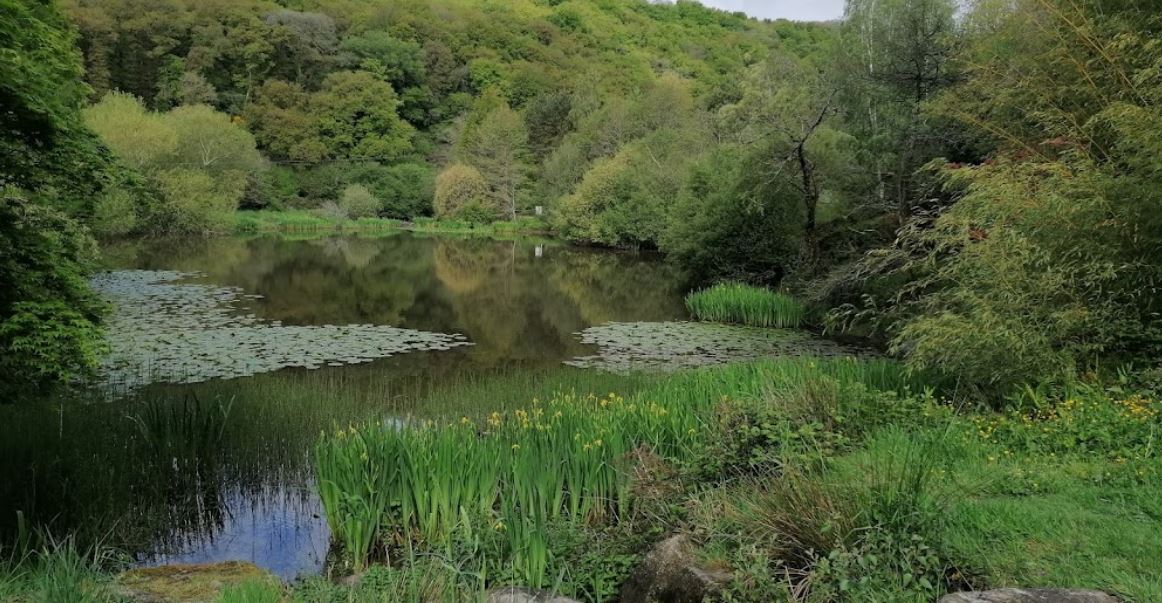 La vallée de l'Hyère - Crédit : dje cc