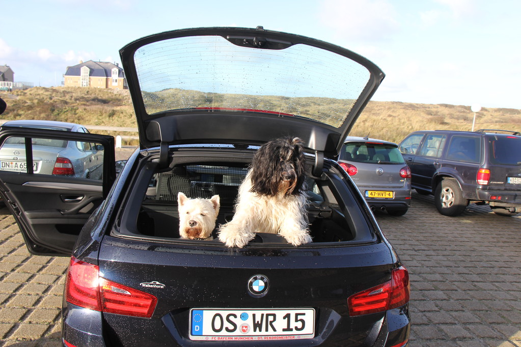 Ab an den Strand