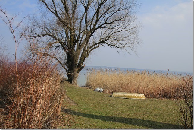 Spaziergang am Ammersee