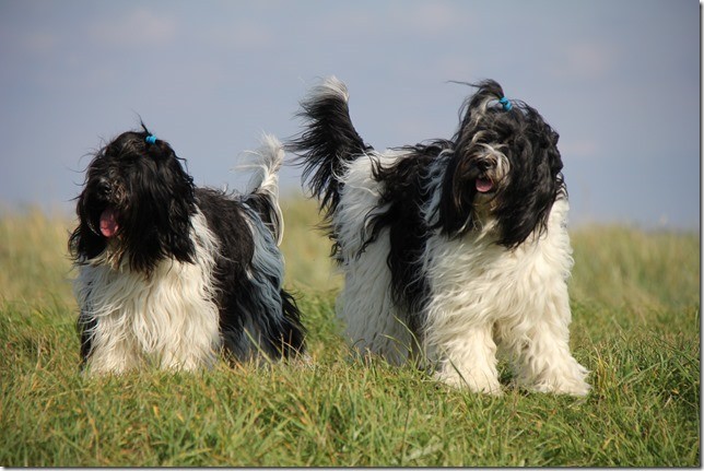 links Amara, rechts Willma