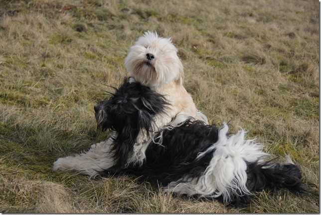 Amara und Teddy