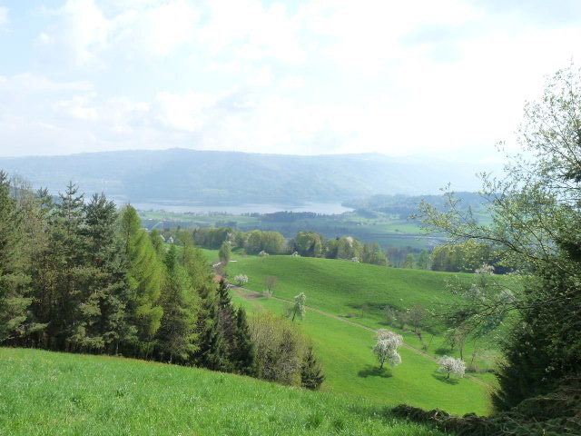Hier sind wir gewandert