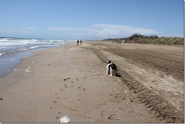 Strand Portiragnes